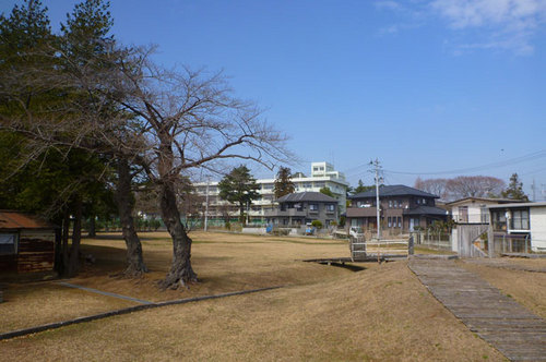 P1040049.jpg
