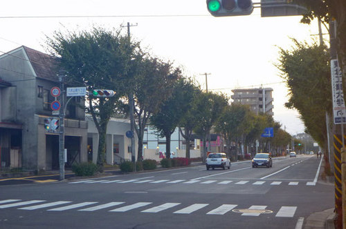 P1140154.jpg