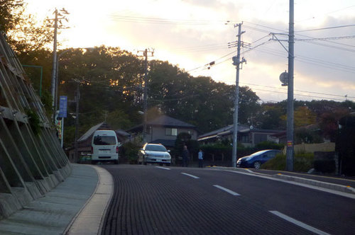 P1140161.jpg