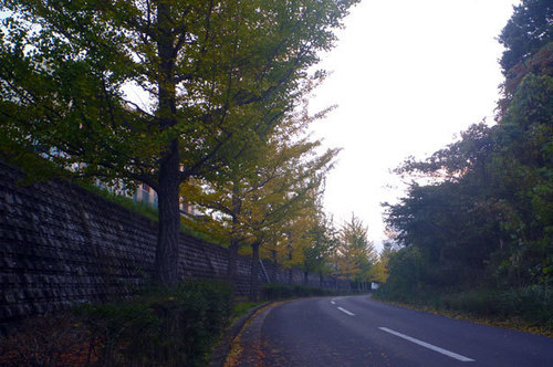 P1140180.jpg