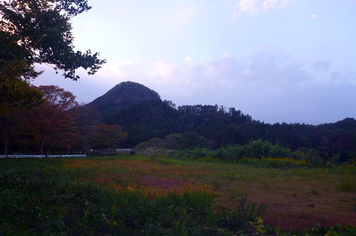 P1140186.jpg
