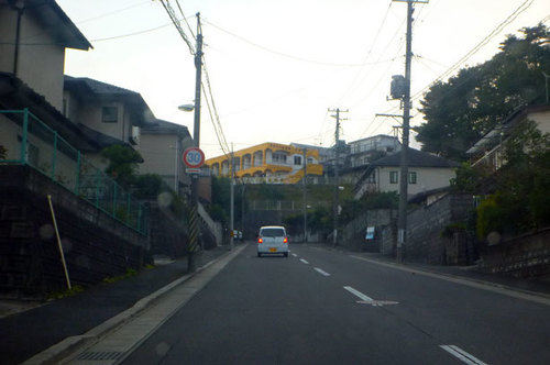 P1140201.jpg
