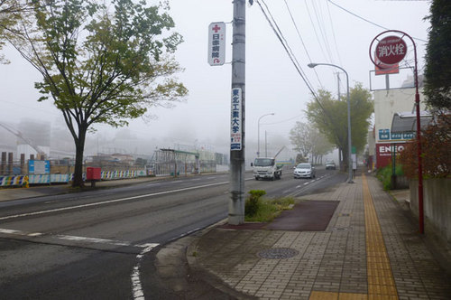 P1040285.jpg