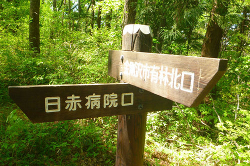P1070837.jpg