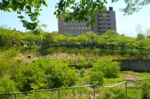 P1070838.jpg