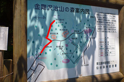 P1070843.jpg