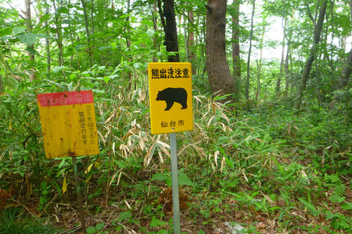 P1080133.jpg