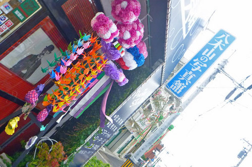 P1080853.jpg