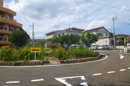 P1090220.jpg