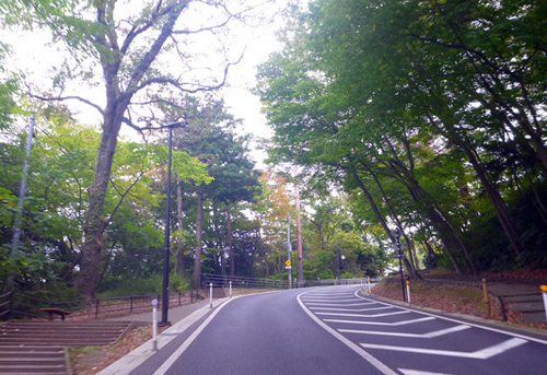 P1190486.jpg