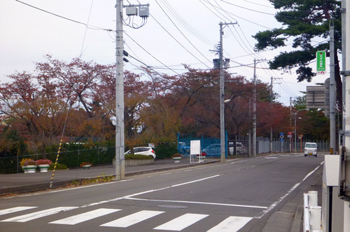P1190500.jpg